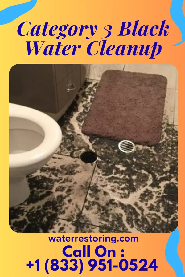 Category 3 Black Water Cleanup in Monticello, KY