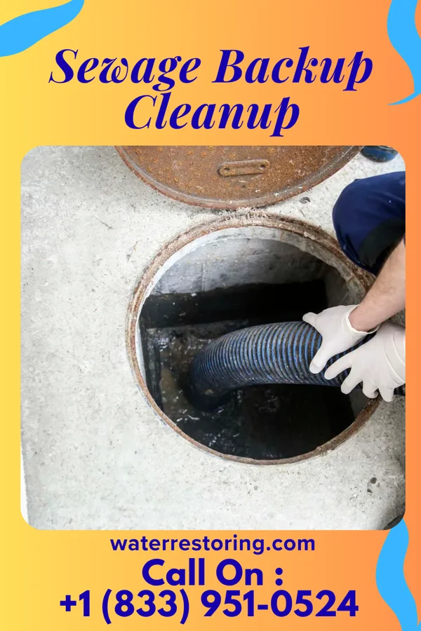 Sewage Backup Cleanup in Monticello, KY