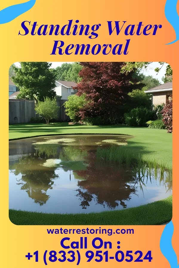 Standing Water Removal in Monticello, KY